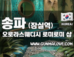 송파 잠실역 [오로라스웨디시] 이미지