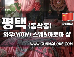 평택 동삭동 [와우(WOW)] 이미지