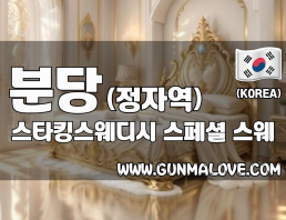 분당 정자동 정자역 [스타킹스웨디시] 이미지