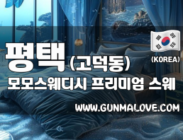 평택 고덕동 [모모스웨디시] 이미지