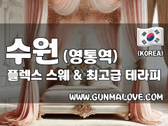 수원 영통역 [플렉스] 이미지