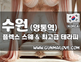 수원 영통역 [플렉스] 이미지