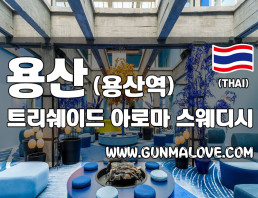 용산에 위치한 [트리쉐이드] 이미지