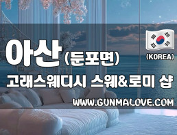 아산 둔포면 [고래스웨디시] 이미지