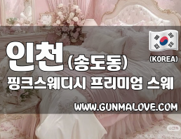 인천 송도동 [핑크스웨디시] 이미지