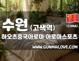 수원 고색역 [하오츠중국아로마] 이미지