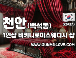 천안 백석동 1인샵 [비키니로미스웨디시] 이미지