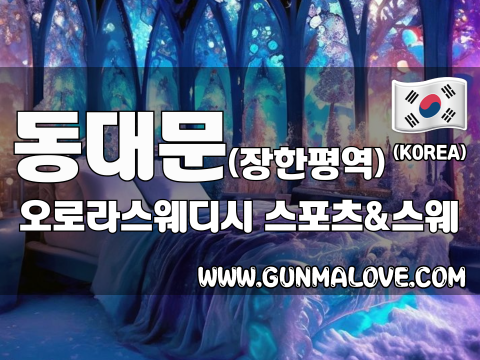 동대문 장한평역 [오로라스웨디시] 이미지