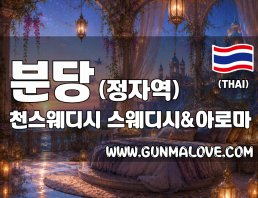 분당 정자역 [천스웨디시] 이미지