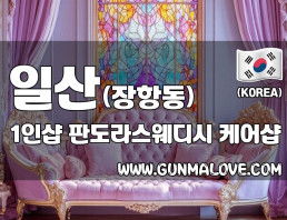 일산 장항동 1인샵 [판도라스웨디시] 이미지
