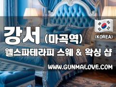 강서 마곡역 [웰스파테라피] 이미지