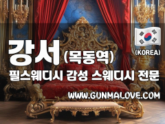 강서 목동역 [필스웨디시] 이미지