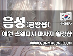 음성 금왕읍 [예원] 이미지