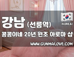 강남 선릉역 [콩콩이네] 이미지