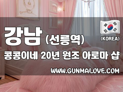 강남 선릉역 [콩콩이네] 이미지