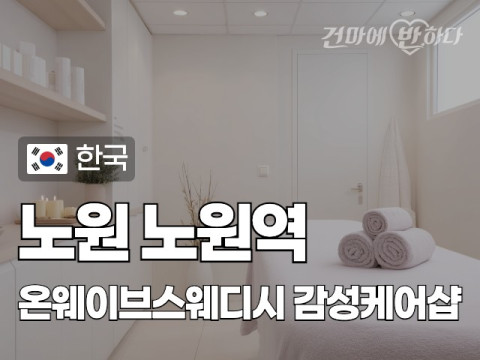 노원 노원역 [온웨이브스웨디시] 이미지