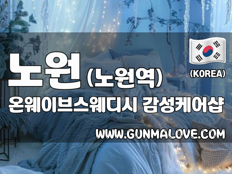 노원 노원역 [온웨이브스웨디시] 이미지