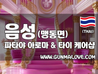 충북혁신도시 음성 [파타야] 이미지