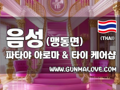 충북혁신도시 음성 [파타야] 이미지