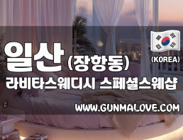 일산 장항동 [라비타스웨디시] 이미지