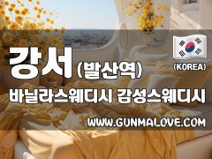강서 발산역 [바닐라스웨디시] 이미지