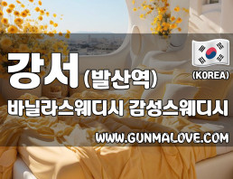 강서 발산역 [바닐라스웨디시] 이미지