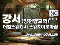 강서 양천향교역 [더힐스웨디시] 이미지