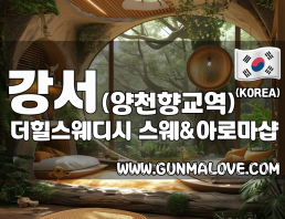 강서 양천향교역 [더힐스웨디시] 이미지