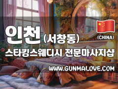 인천 서창동 [스타킹스웨디시] 이미지