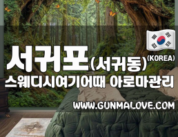 서귀포 서귀동 [스웨디시여기어때] 이미지