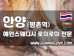 안양 평촌역 [예원스웨디시] 이미지
