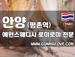 안양 평촌역 [예원스웨디시] 이미지