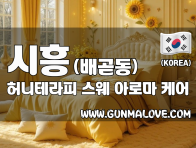 시흥 배곧동 [허니테라피] 이미지