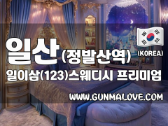 일산 정발산역 [일이삼(123)스웨디시] 이미지