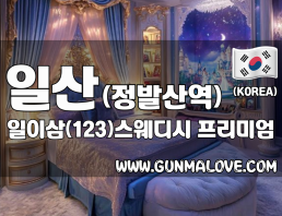 일산 정발산역 [일이삼(123)스웨디시] 이미지