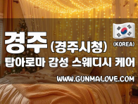 경주 경주시청 [탑아로마] 이미지