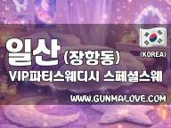 일산 장항동 [VIP파티스웨디시] 이미지