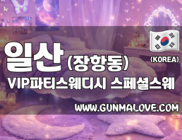 일산 장항동 [VIP파티스웨디시] 이미지