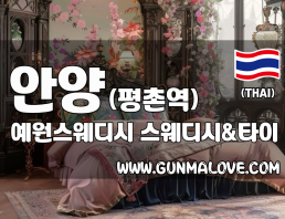 안양 평촌역 [예원스웨디시] 이미지