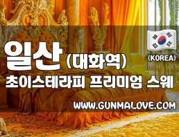 일산 대화동 대화역 인근에 위치한 초이스테라피는 전원 20대 한국인 여성 관리사가 정성스럽게 스웨디시 마사지를 제공하는 힐링 전문샵입니다. 오전 11시부터 새벽 5시까지 운영되며, 무료 주차도 가능합니다. 지금 바로 건마에반하다에서 예약하세요.