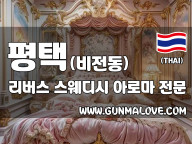 평택 비전동 [리버스] 이미지