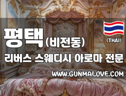 평택 비전동 [리버스] 이미지