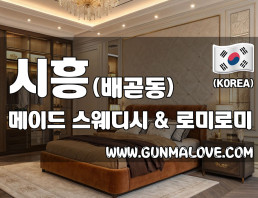 시흥 배곧동 [메이드] 이미지