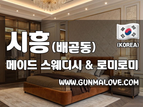 시흥 배곧동 [메이드] 이미지