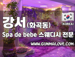 강서 화곡동 [Spadebebe] 이미지