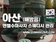 아산 배방읍 [엔젤수마사지] 이미지