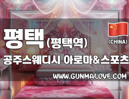 평택 평택역 [공주스웨디시] 이미지
