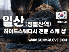 일산 정발산역 [하이드스웨디시] 이미지