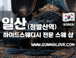 일산 정발산역 [하이드스웨디시] 이미지