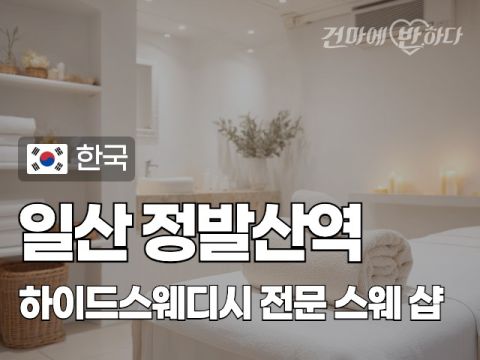 일산 정발산역 [하이드스웨디시] 이미지